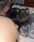 Анкета проститутки Лилия - метро Коломенское, возраст - 23